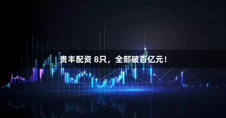 贵丰配资 8只，全部破百亿元！