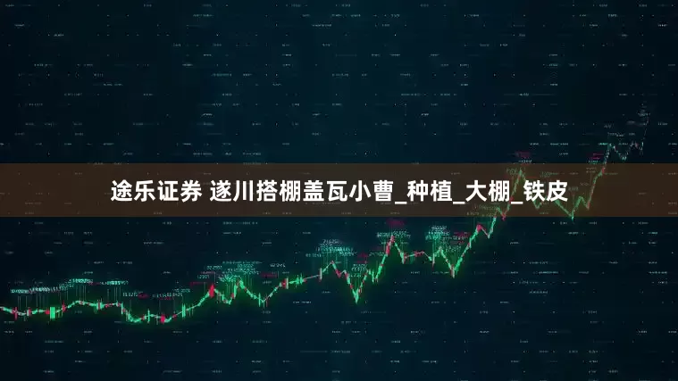 途乐证券 遂川搭棚盖瓦小曹_种植_大棚_铁皮