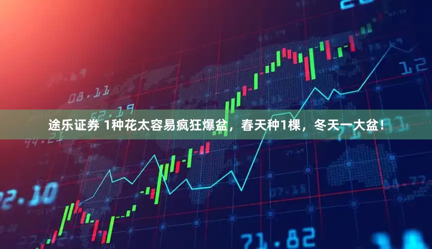 途乐证券 1种花太容易疯狂爆盆，春天种1棵，冬天一大盆！